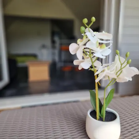 Séjour chez l'habitant Spacieuse 30m2 Pont-Audemer