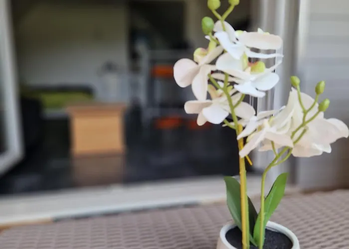 Homestay Spacieuse 30m2 Pont-Audemer